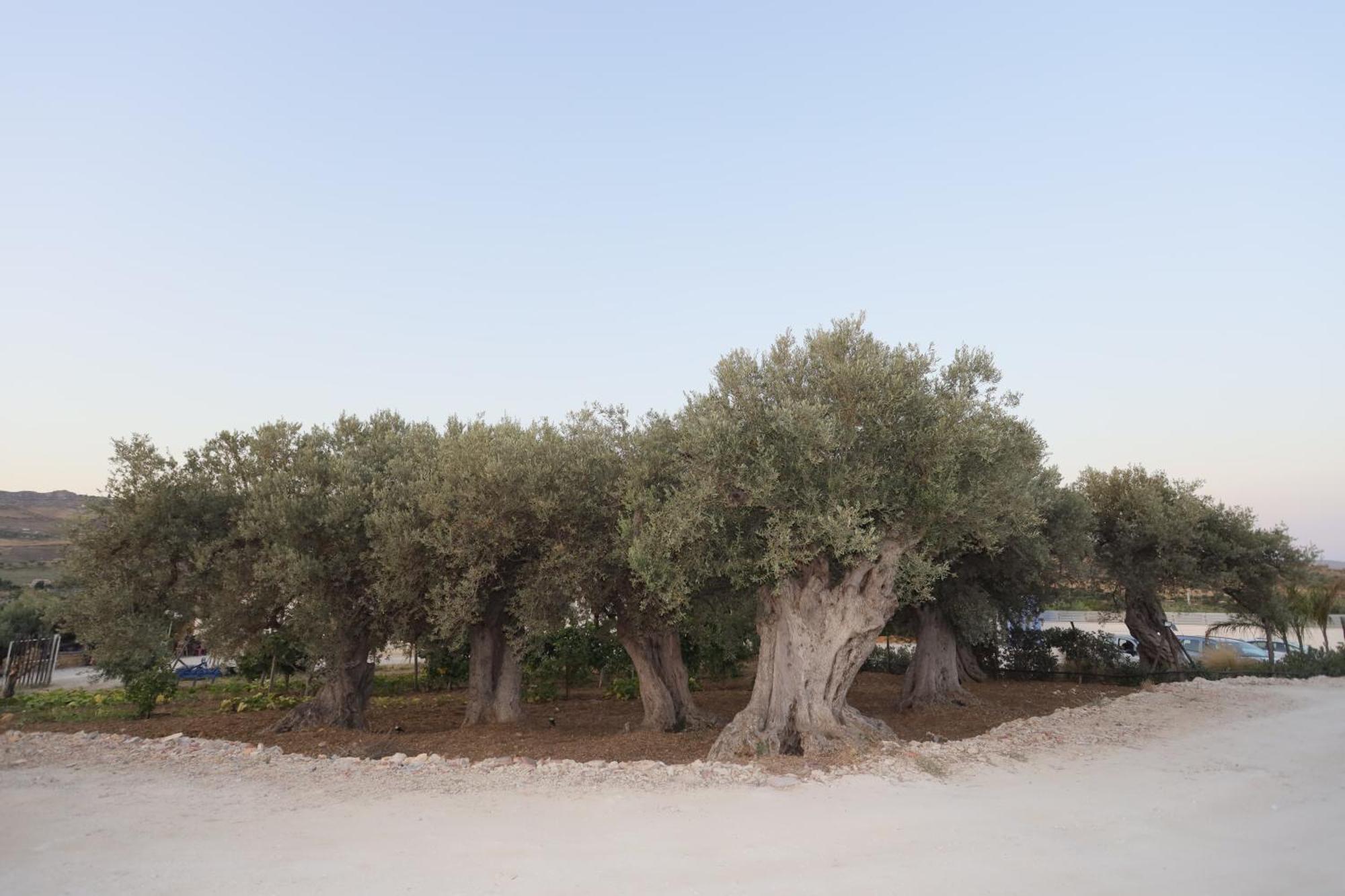 Relais Dea Degli Ulivi Hotell Agrigento Exteriör bild